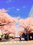 2016-04-05ba.jpg