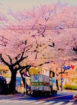 2016-04-05bb.jpg
