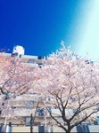2016-04-05bc.jpg
